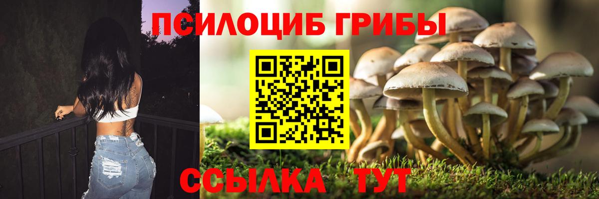 Псилоцибиновые грибы Psilocybe  Вход с VPN  Лабинск  Псилоцибиновые грибы мицелий 